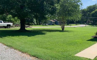Photo of Bruce V.'s yard after getting lawn care in Roxboro, NC