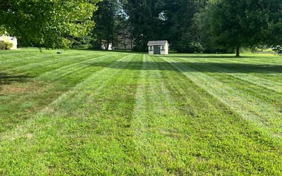 Photo of Bill J.'s yard after getting lawn care in East Windsor, CT