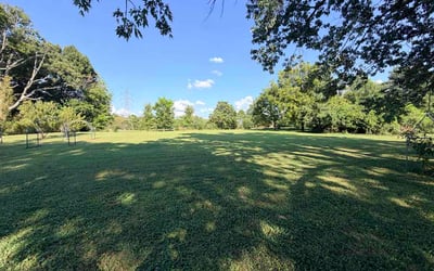 Photo of Guadalupe M.'s yard after getting lawn care in Ceres, CA