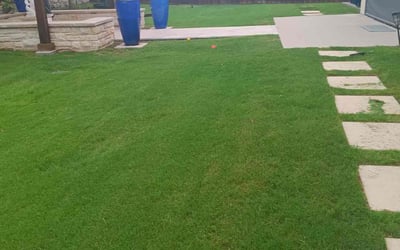 Photo of Jon M.'s yard after getting tree care in Seminole, FL