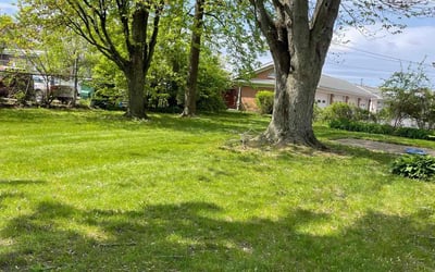 Photo of Christian D.'s yard after getting lawn care in Glenshaw, PA