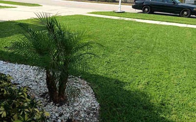 Photo of Trisha H.'s yard after getting lawn care in Boynton Beach, FL