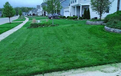 Photo of Rick R.'s yard after getting lawn care in North Ridgeville, OH