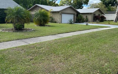 Photo of Amanda K.'s yard after getting lawn care in Lutz, FL