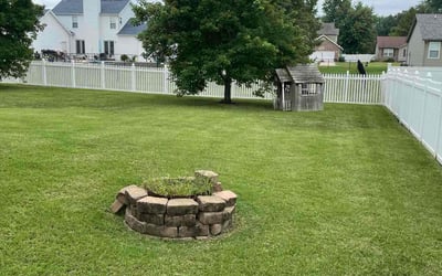 Photo of Michael H.'s yard after getting lawn care in Granite City, IL