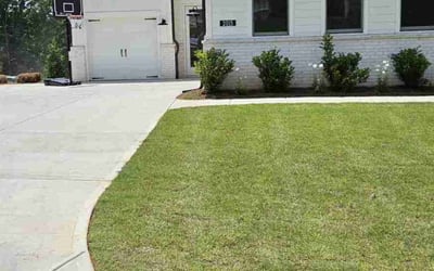 Photo of Bradlee B.'s yard after getting lawn care in Opelika, AL