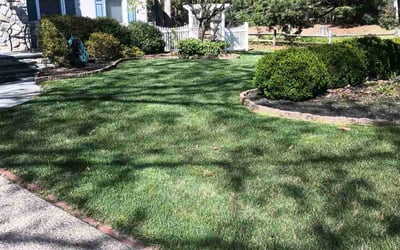 Photo of Linnell B.'s yard after getting lawn care in Greentree, NJ