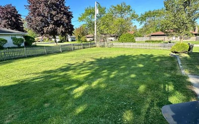 Photo of Jarenae W.'s yard after getting lawn care in York, SC