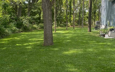 Photo of Tya E.'s yard after getting lawn care in Glassboro, NJ