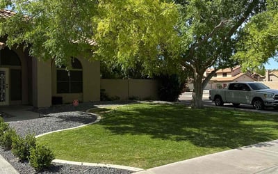 Photo of Cassandra E.'s yard after getting lawn care in Tempe, AZ