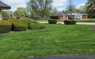 Photo of Dan O.'s yard after getting lawn care in Palos Heights, IL