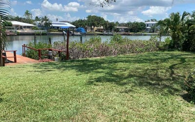Photo of Crystal L.'s yard after getting lawn care in Inverness, FL