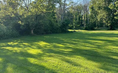 Photo of Marnie R.'s yard after getting lawn care in Spencerport, NY
