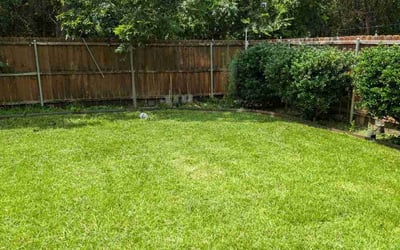 Photo of Brian V.'s yard after getting lawn care in Sunnyvale, TX