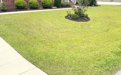 Photo of Atene R.'s yard after getting lawn care in Blythewood, SC