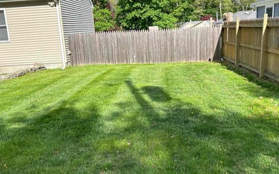Photo of Chalea A.'s yard after getting lawn care in North Dartmouth, MA