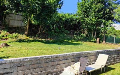 Photo of Marieta D.'s yard after getting lawn care in Colonia, NJ