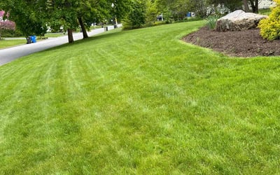 Photo of Aleana C.'s yard after getting lawn care in Cranston, RI