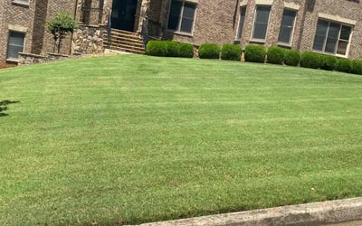 Photo of Jeffrey J.'s yard after getting lawn care in Marietta, GA