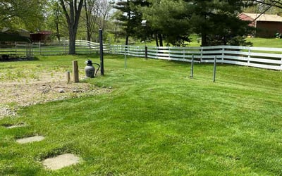 Photo of Andres L.'s yard after getting lawn care in Indianapolis, IN