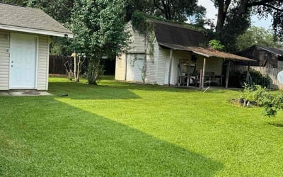 Photo of Waldemar S.'s yard after getting lawn care in Ocala, FL