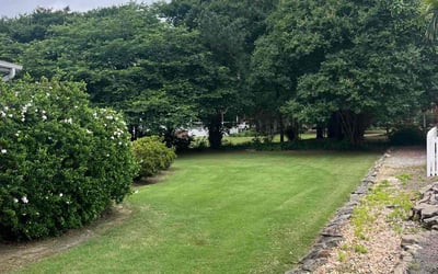 Photo of Michelle G.'s yard after getting lawn care in Easley, SC
