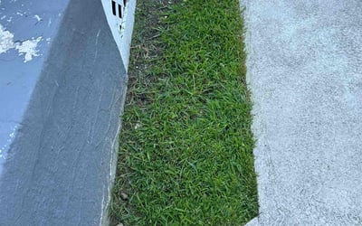 Photo of Nancy Z.'s yard after getting lawn care in East Weymouth, MA