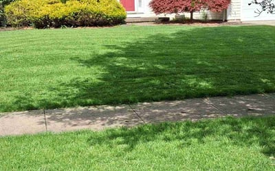 Photo of Joshua T.'s yard after getting lawn care in Streetsboro, OH