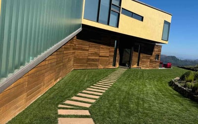 Photo of Matthew H.'s yard after getting lawn care in Mill Valley, CA