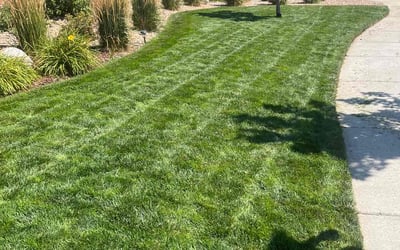 Photo of Pam F.'s yard after getting lawn care in Parker, CO