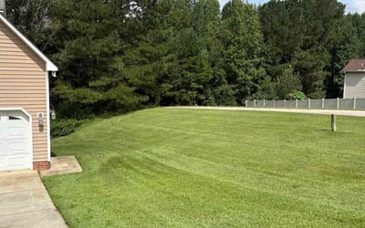 Photo of Eva C.'s yard after getting lawn care in Jacksonville, FL