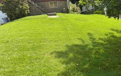 Photo of Alyssa B.'s yard after getting lawn care in Cheswick, PA