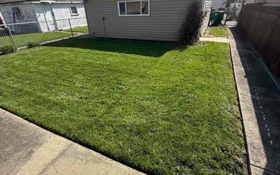 Photo of Kelly M.'s yard after getting lawn care in Berwyn, IL