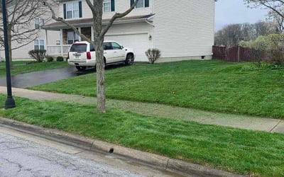 Photo of Laura A.'s yard after getting lawn care in Charleston, WV