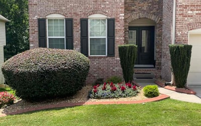 Photo of Matt B.'s yard after getting lawn care in Lees Summit, MO