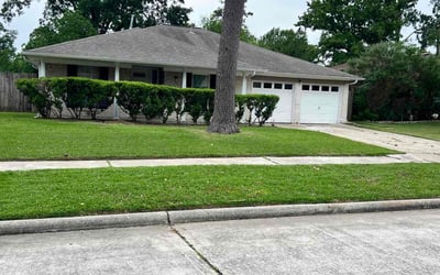 Photo of Yue P.'s yard after getting lawn care in Elk Grove, CA