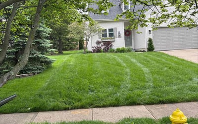 Photo of Jonathan H.'s yard after getting lawn care in Cincinnati, OH