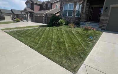 Photo of Daniel M.'s yard after getting lawn care in East Lansing, MI