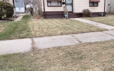 Photo of Carol R.'s yard after getting lawn care in Winchester, KY