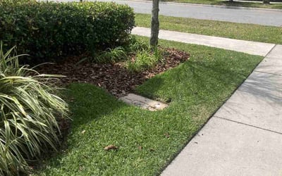 Photo of Ferdy D.'s yard after getting lawn care in Orlando, FL