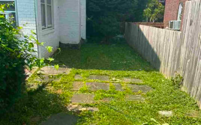 Photo of Robin D.'s yard after getting lawn care in Williamston, SC