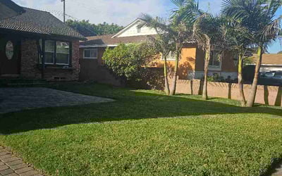 Photo of Mario A.'s yard after getting lawn care in Highland, CA