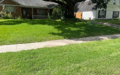 Photo of Rocci B.'s yard after getting lawn care in Texarkana, TX