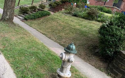 Photo of Emily S.'s yard after getting lawn care in Panorama City, CA