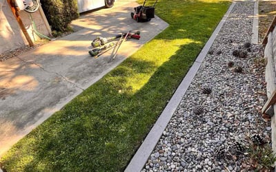 Photo of Cathie S.'s yard after getting lawn care in Clovis, CA