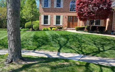 Photo of Andrea H.'s yard after getting lawn care in North Richland Hills, TX