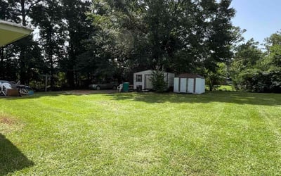 Photo of Ian T.'s yard after getting lawn care in Millbrook, AL