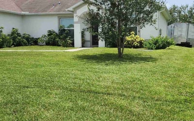 Photo of Dennis S.'s yard after getting lawn care in Arlington Heights, IL