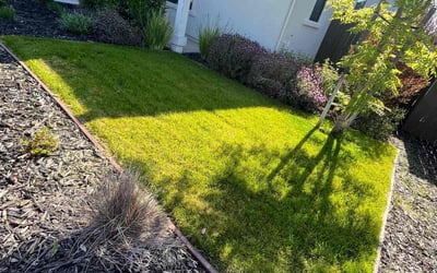 Photo of Sarah P.'s yard after getting lawn care in Rocklin, CA