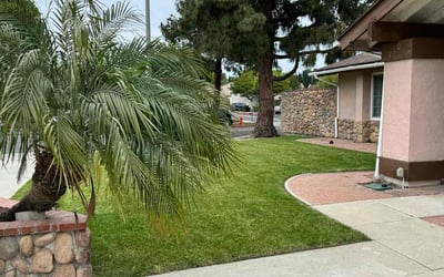 Photo of Lindsay M.'s yard after getting lawn care in Orange, CA